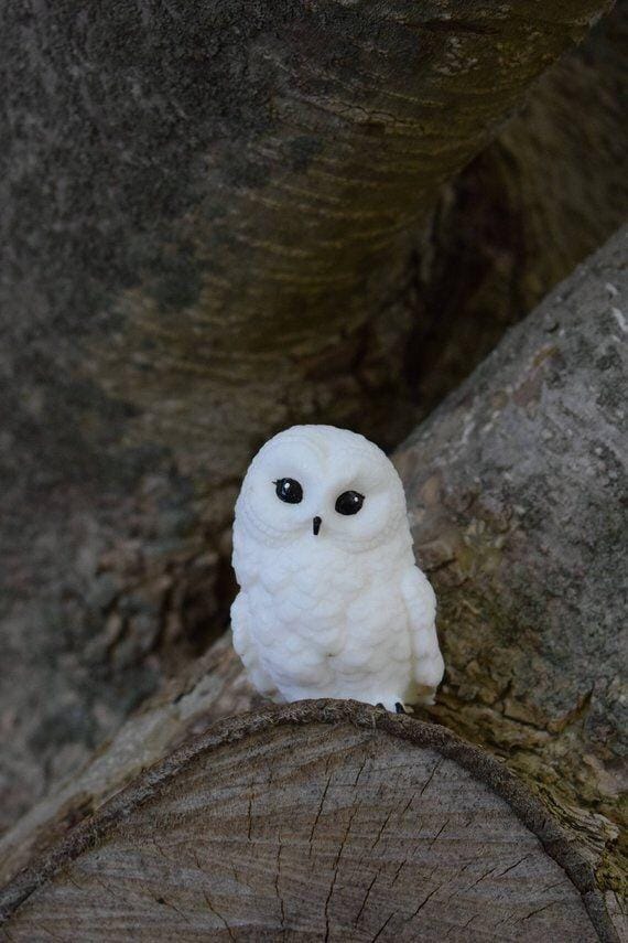 FB_IMG_15669267694411